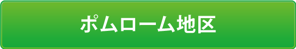 ポムローム地区 ポムローム地区